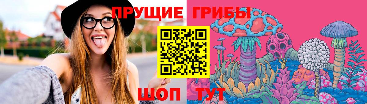 Псилоцибиновые грибы GOLDEN TEACHER  Вход с VPN  Саров 